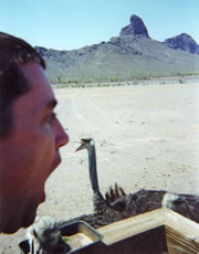 Eddie shares the news with his fellow Ostriches