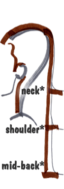 Length Diagram